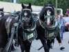 16. Wernesgrüner Brauereifest