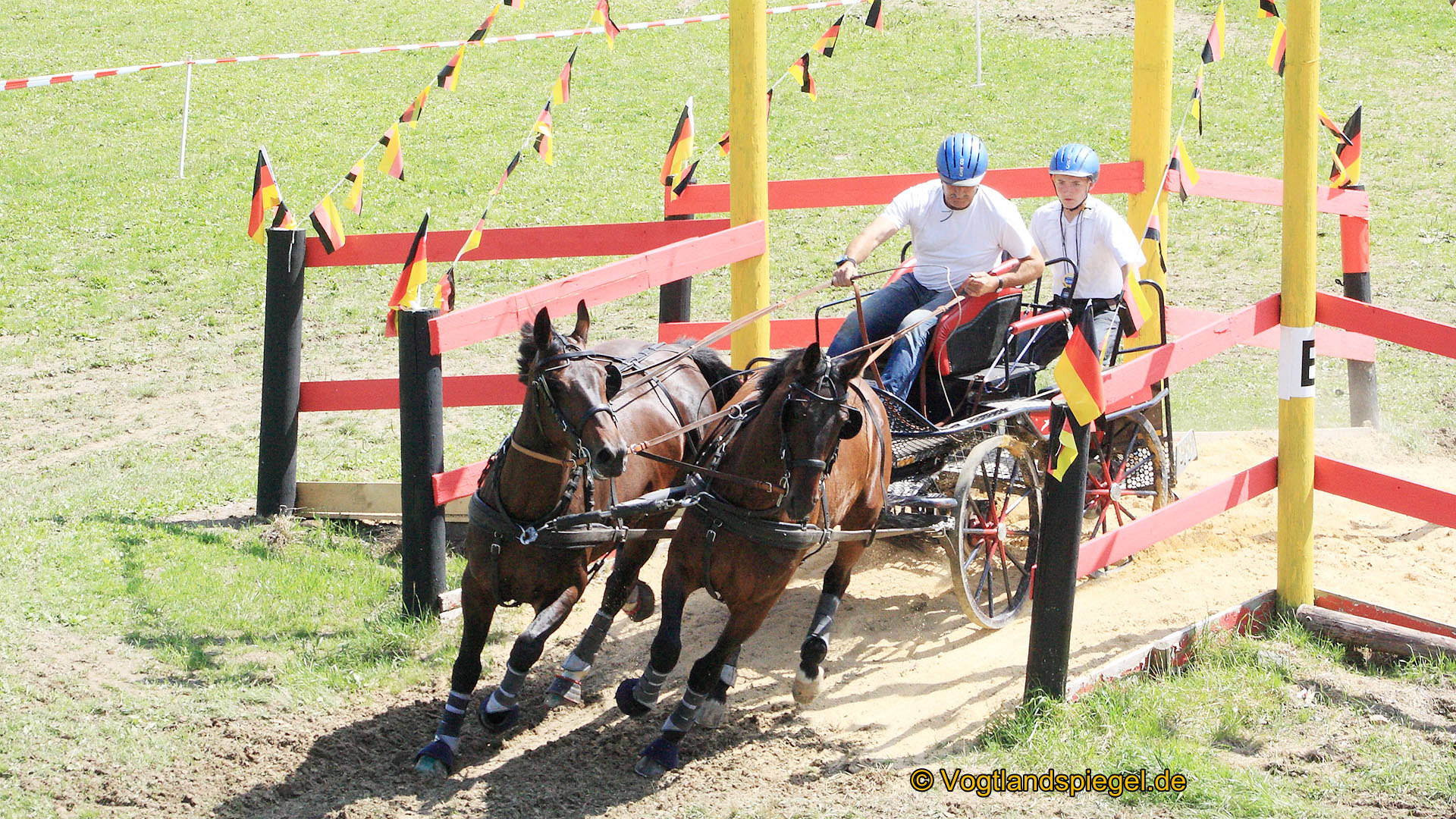 Thüringer Landesmeisterschaft im Ein- und Vierspännerfahren in Mohlsdorf