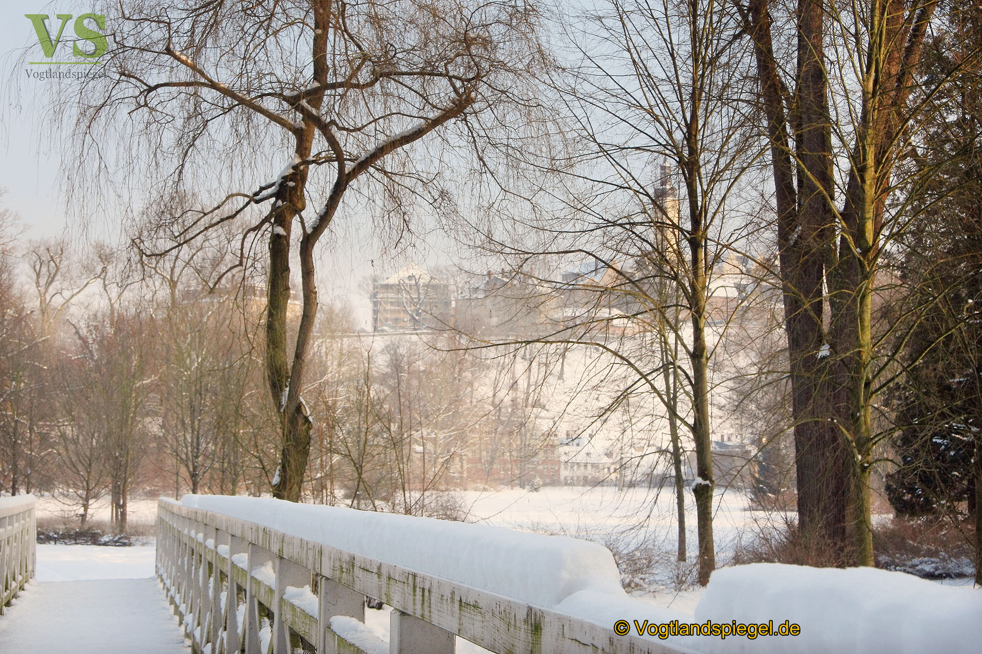 Ein Wintertag im Fürstlich Greizer Park