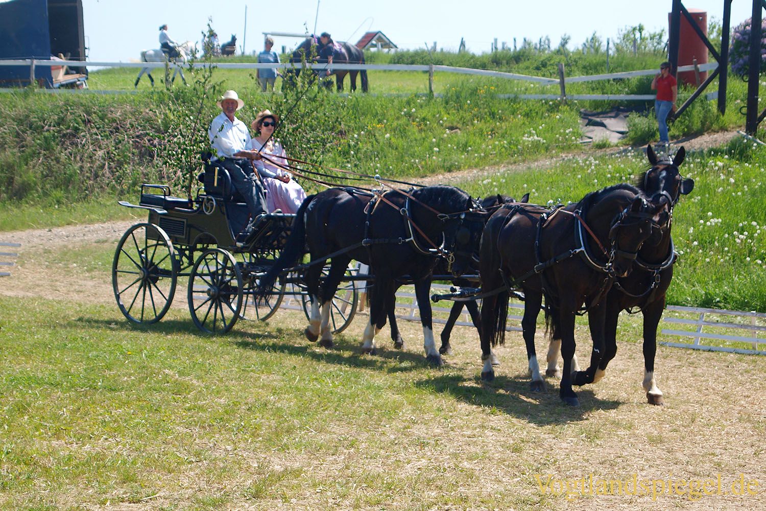 3.Tag der Vereine beim RFV Mohlsdorf e.V.
