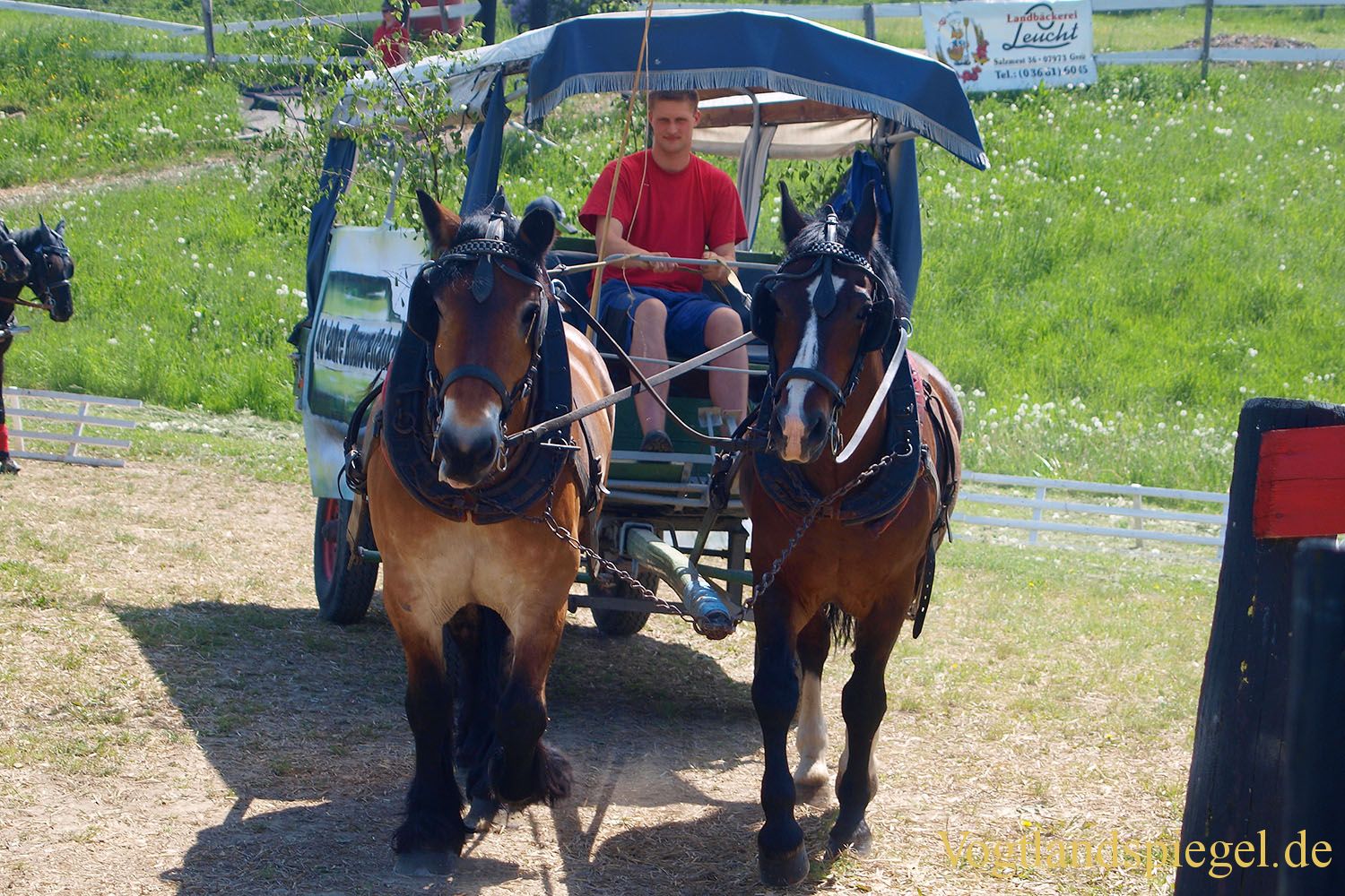 3.Tag der Vereine beim RFV Mohlsdorf e.V.