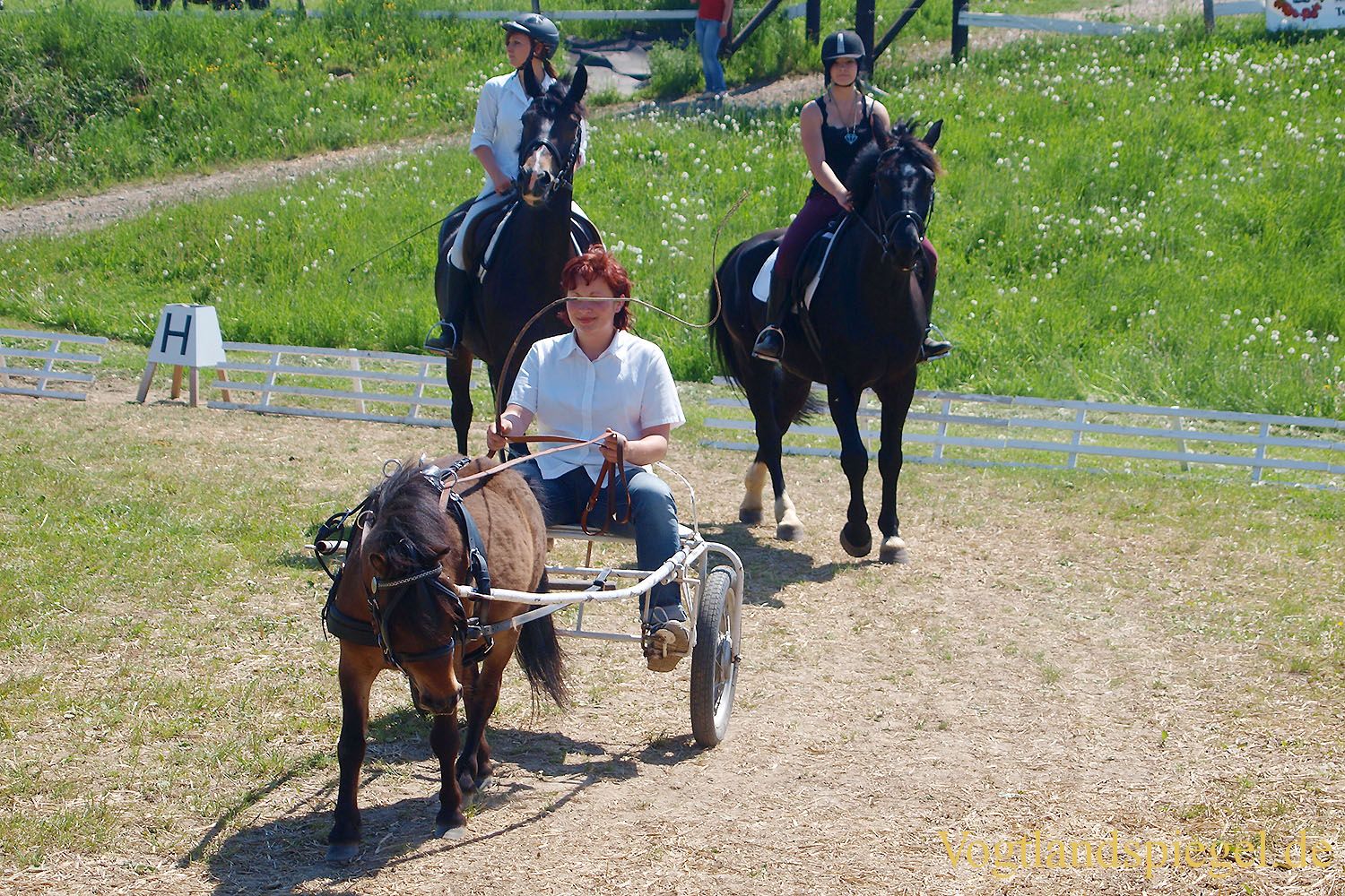 3.Tag der Vereine beim RFV Mohlsdorf e.V.