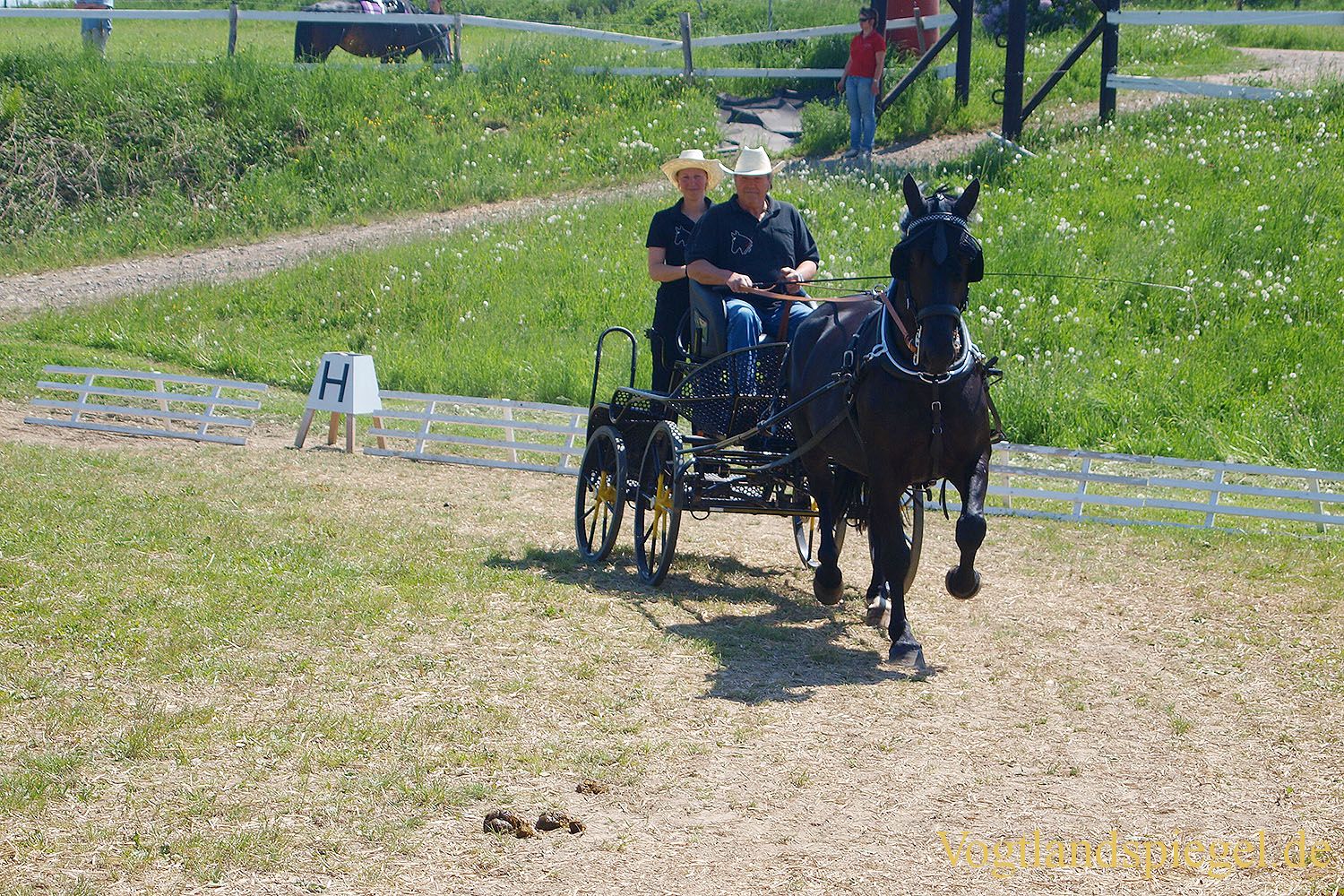 3.Tag der Vereine beim RFV Mohlsdorf e.V.