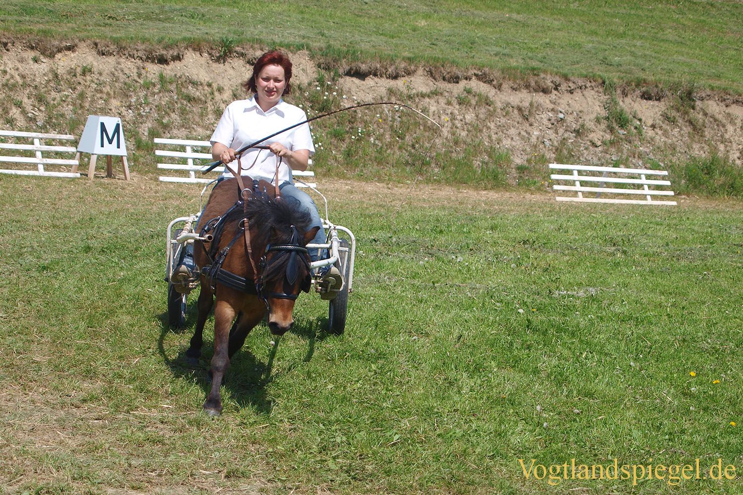 3.Tag der Vereine beim RFV Mohlsdorf e.V.