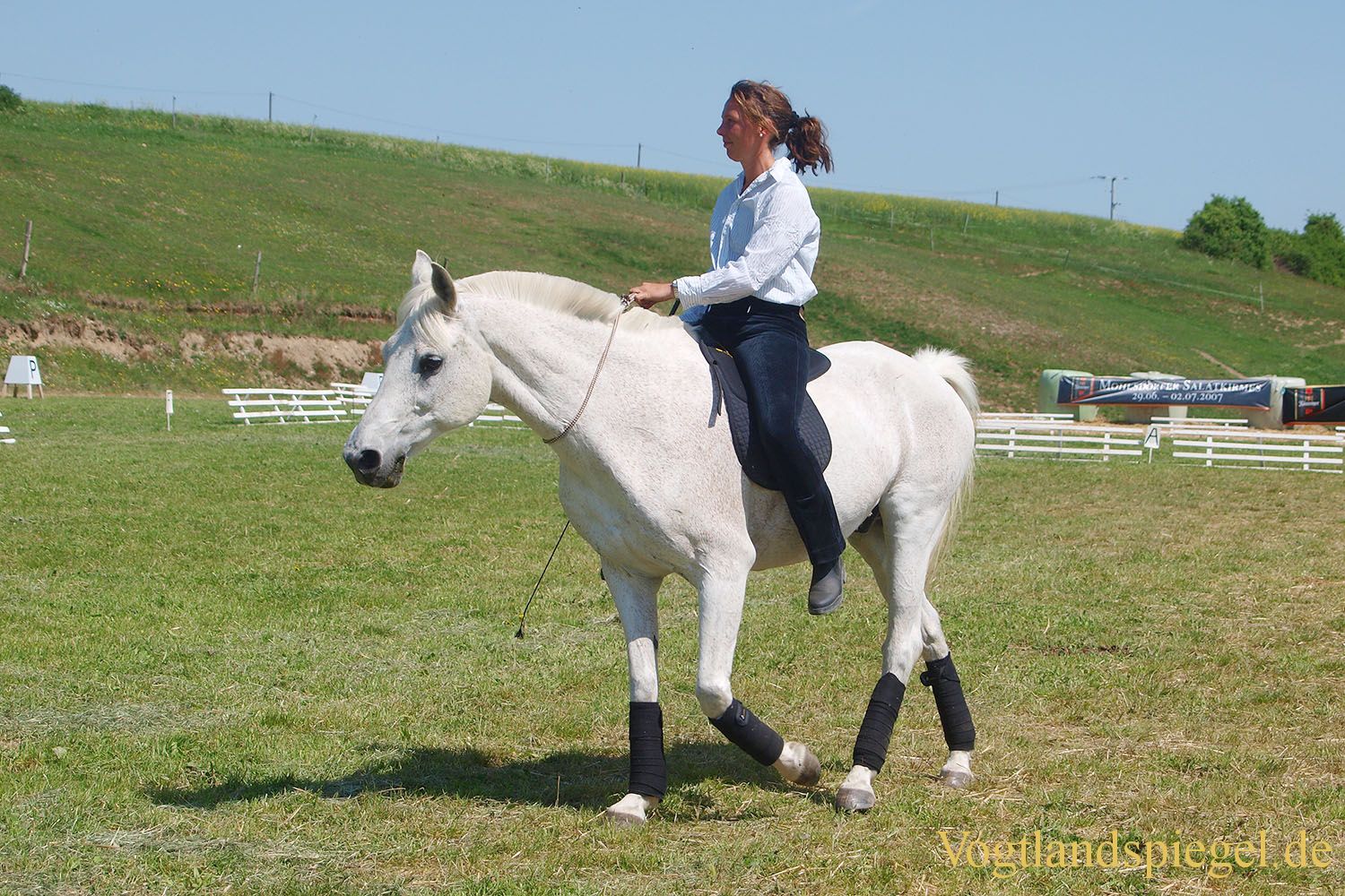 3.Tag der Vereine beim RFV Mohlsdorf e.V.