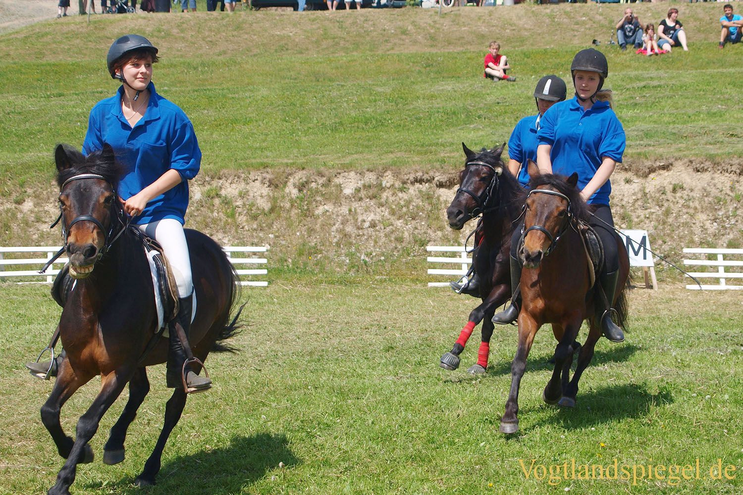3.Tag der Vereine beim RFV Mohlsdorf e.V.