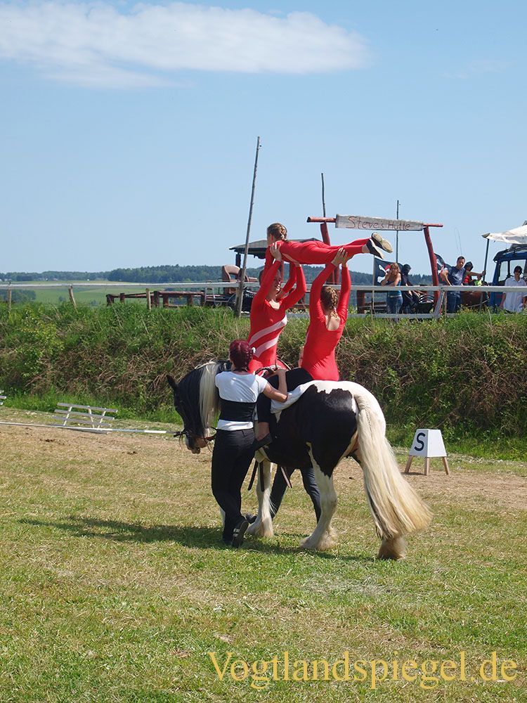 3.Tag der Vereine beim RFV Mohlsdorf e.V.
