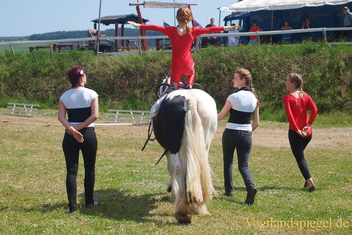 3.Tag der Vereine beim RFV Mohlsdorf e.V.