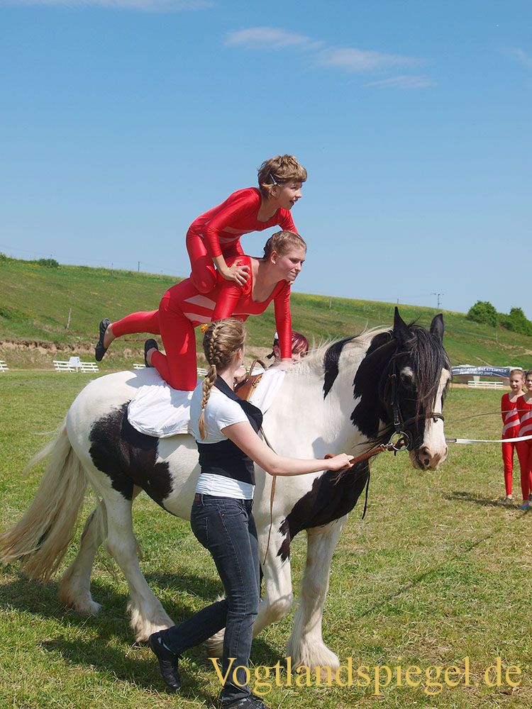 3.Tag der Vereine beim RFV Mohlsdorf e.V.