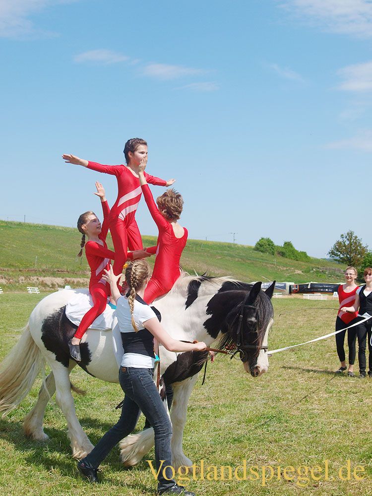 3.Tag der Vereine beim RFV Mohlsdorf e.V.