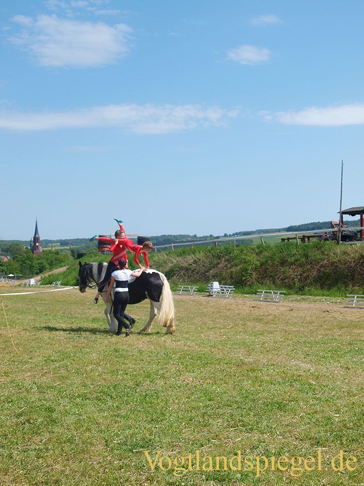 3.Tag der Vereine beim RFV Mohlsdorf e.V.