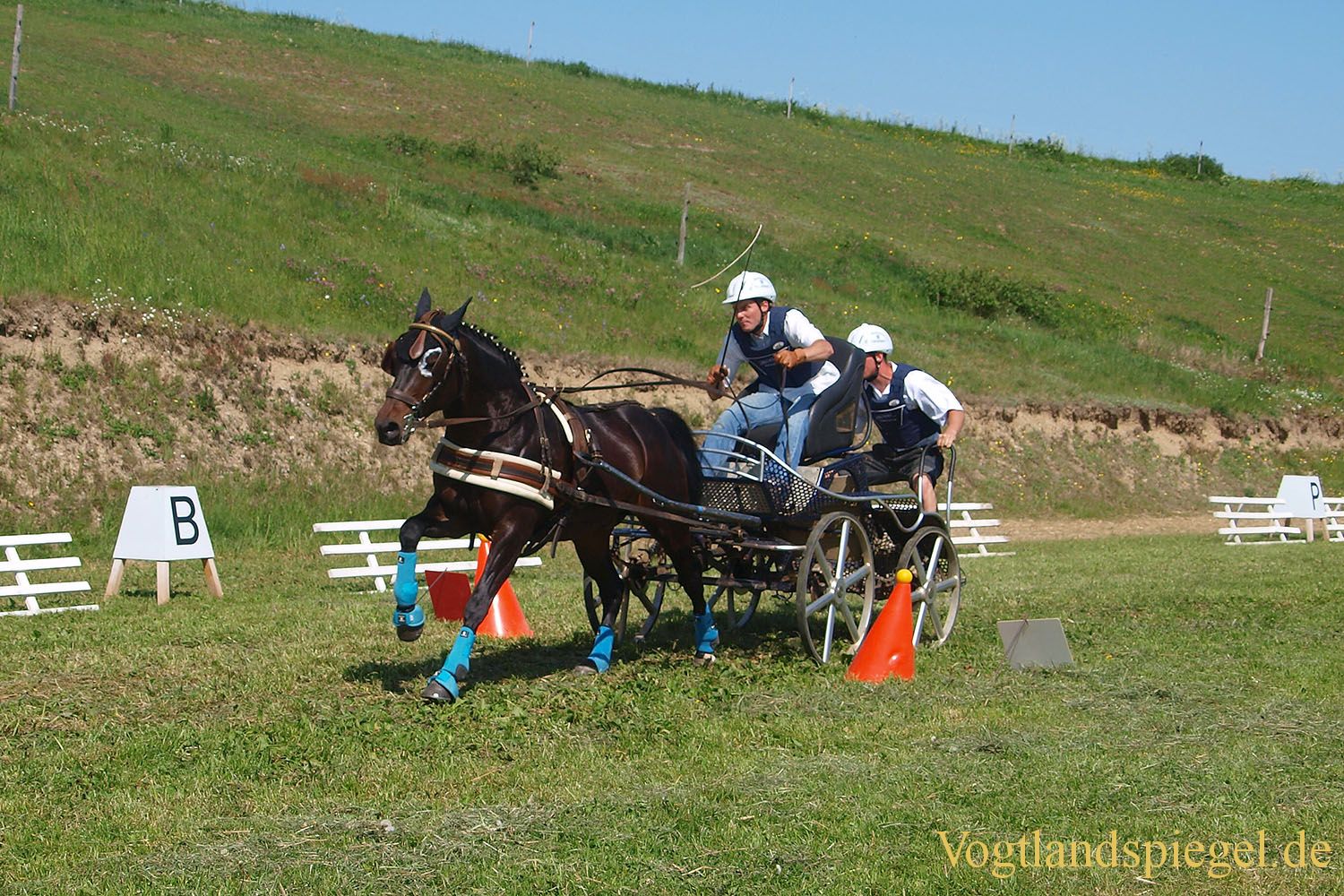3.Tag der Vereine beim RFV Mohlsdorf e.V.