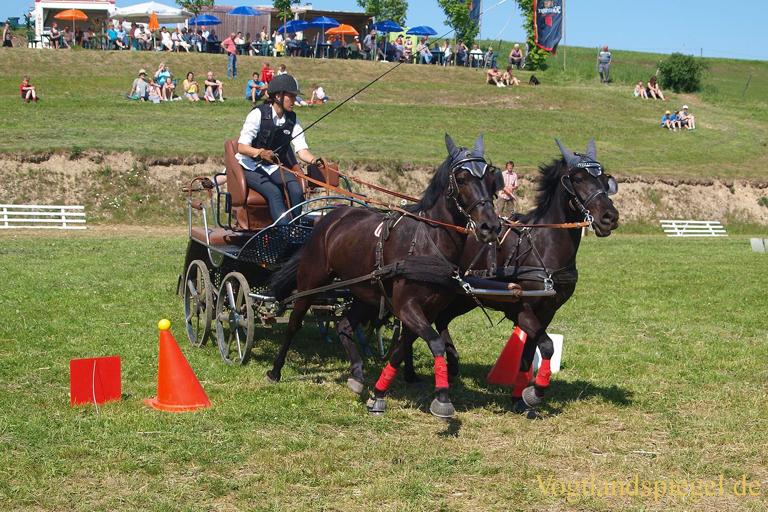 3.Tag der Vereine beim RFV Mohlsdorf e.V.