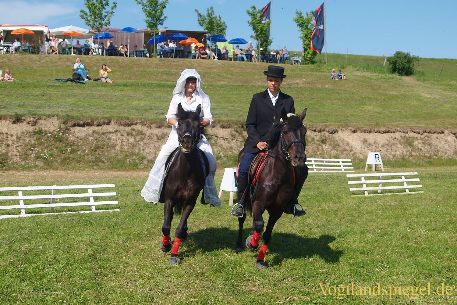 3.Tag der Vereine beim RFV Mohlsdorf e.V.