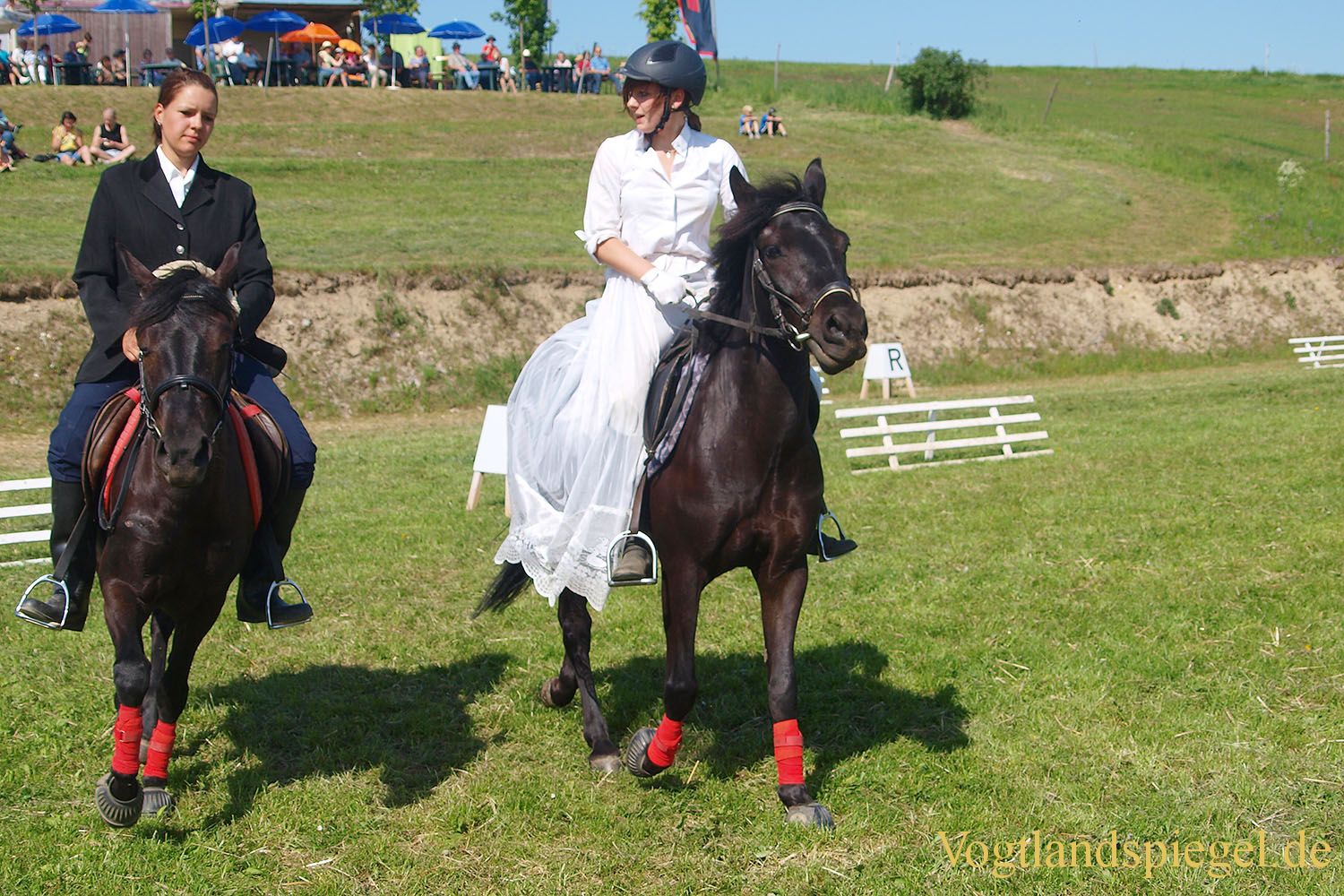 3.Tag der Vereine beim RFV Mohlsdorf e.V.