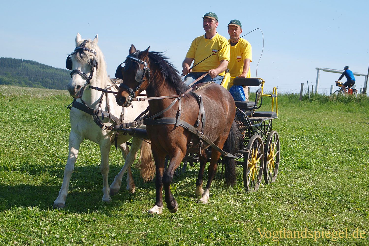 3.Tag der Vereine beim RFV Mohlsdorf e.V.