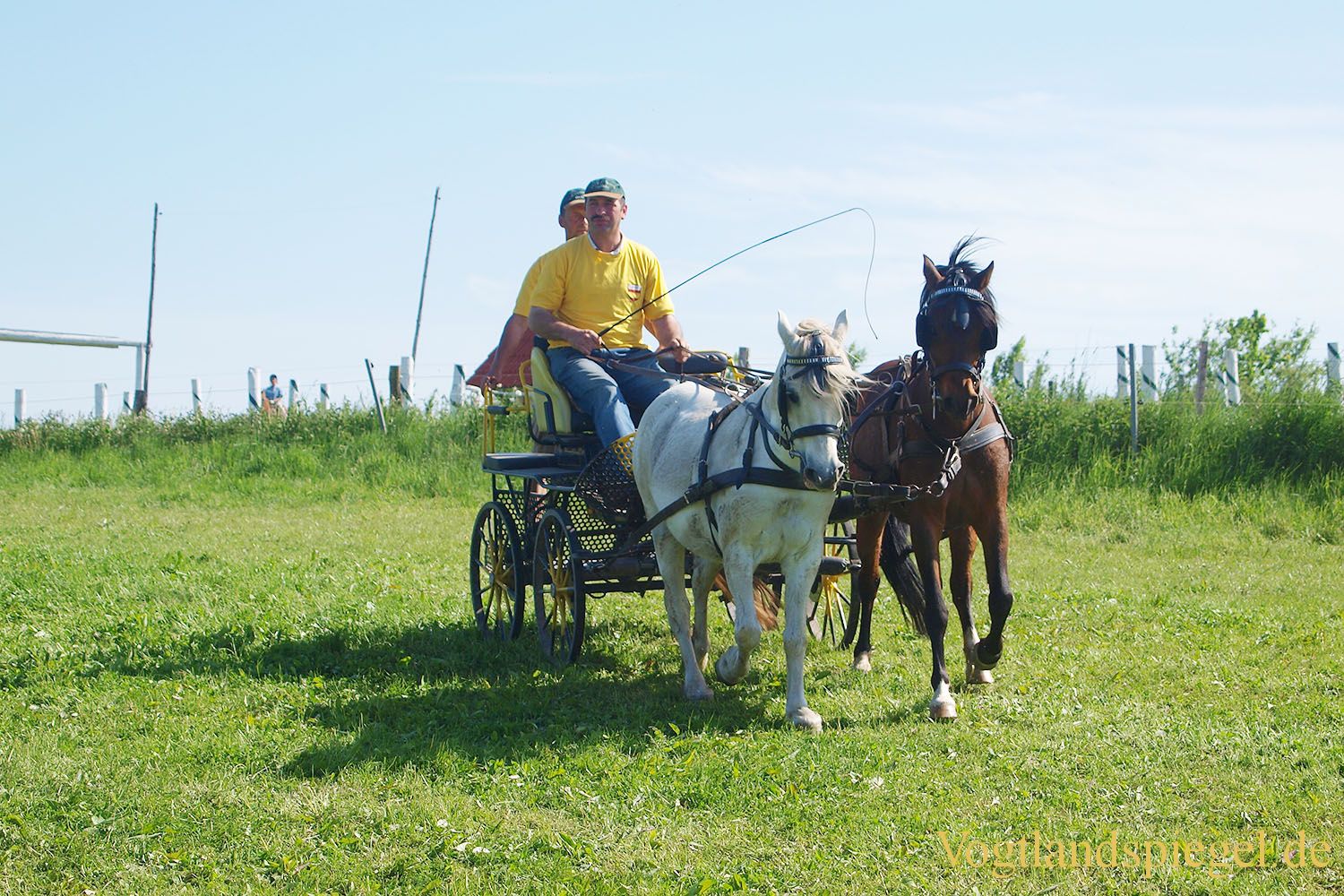 3.Tag der Vereine beim RFV Mohlsdorf e.V.