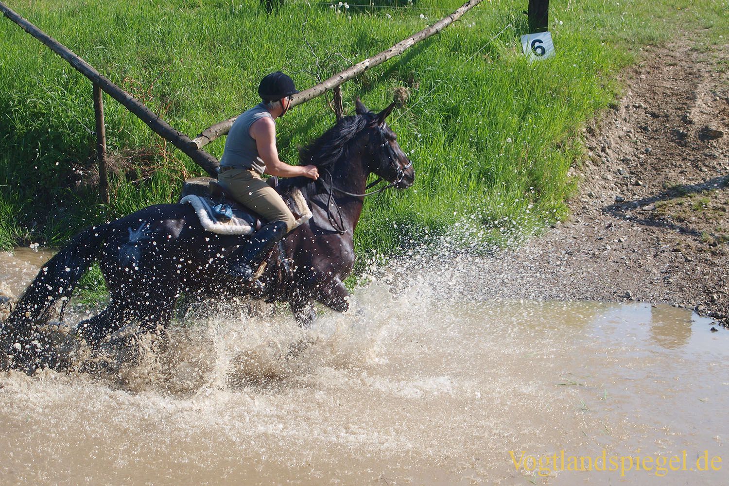 3.Tag der Vereine beim RFV Mohlsdorf e.V.
