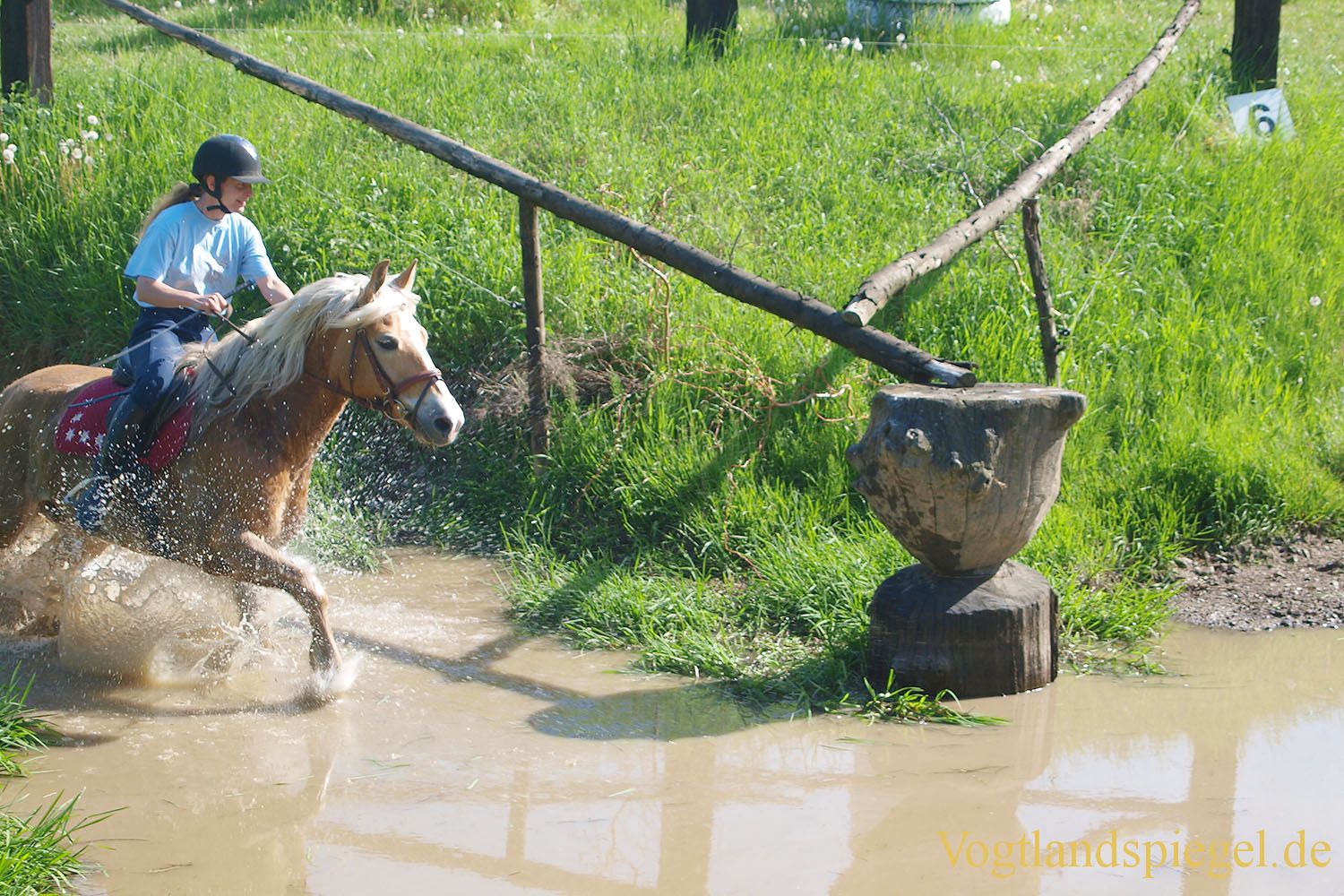 3.Tag der Vereine beim RFV Mohlsdorf e.V.