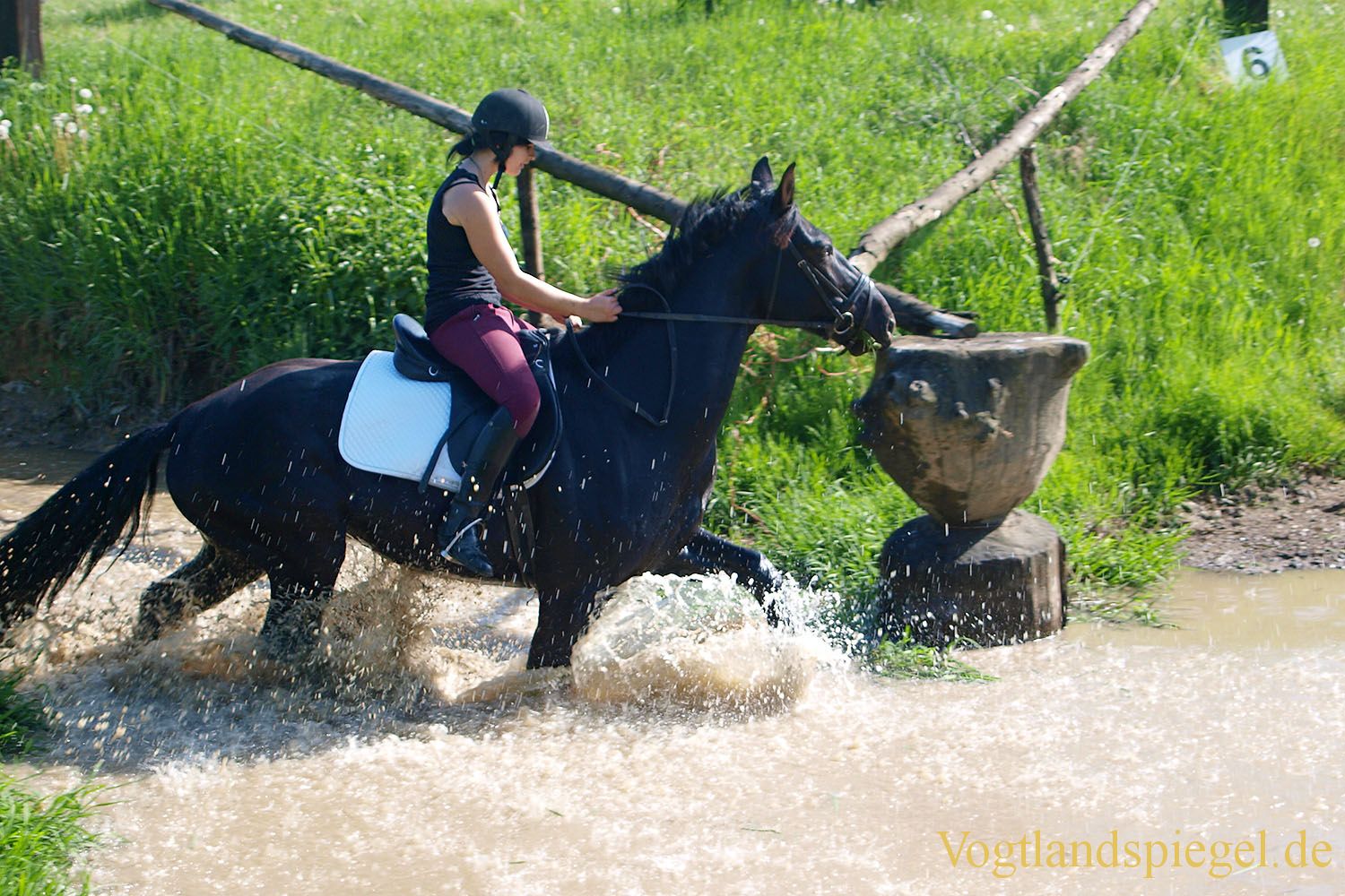 3.Tag der Vereine beim RFV Mohlsdorf e.V.