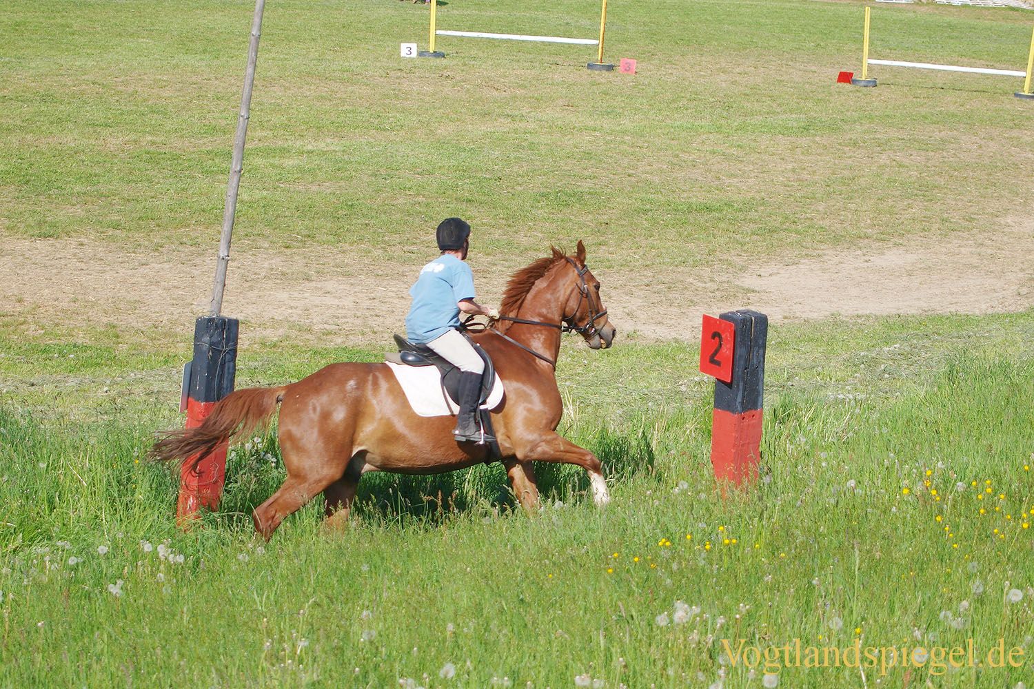 3.Tag der Vereine beim RFV Mohlsdorf e.V.