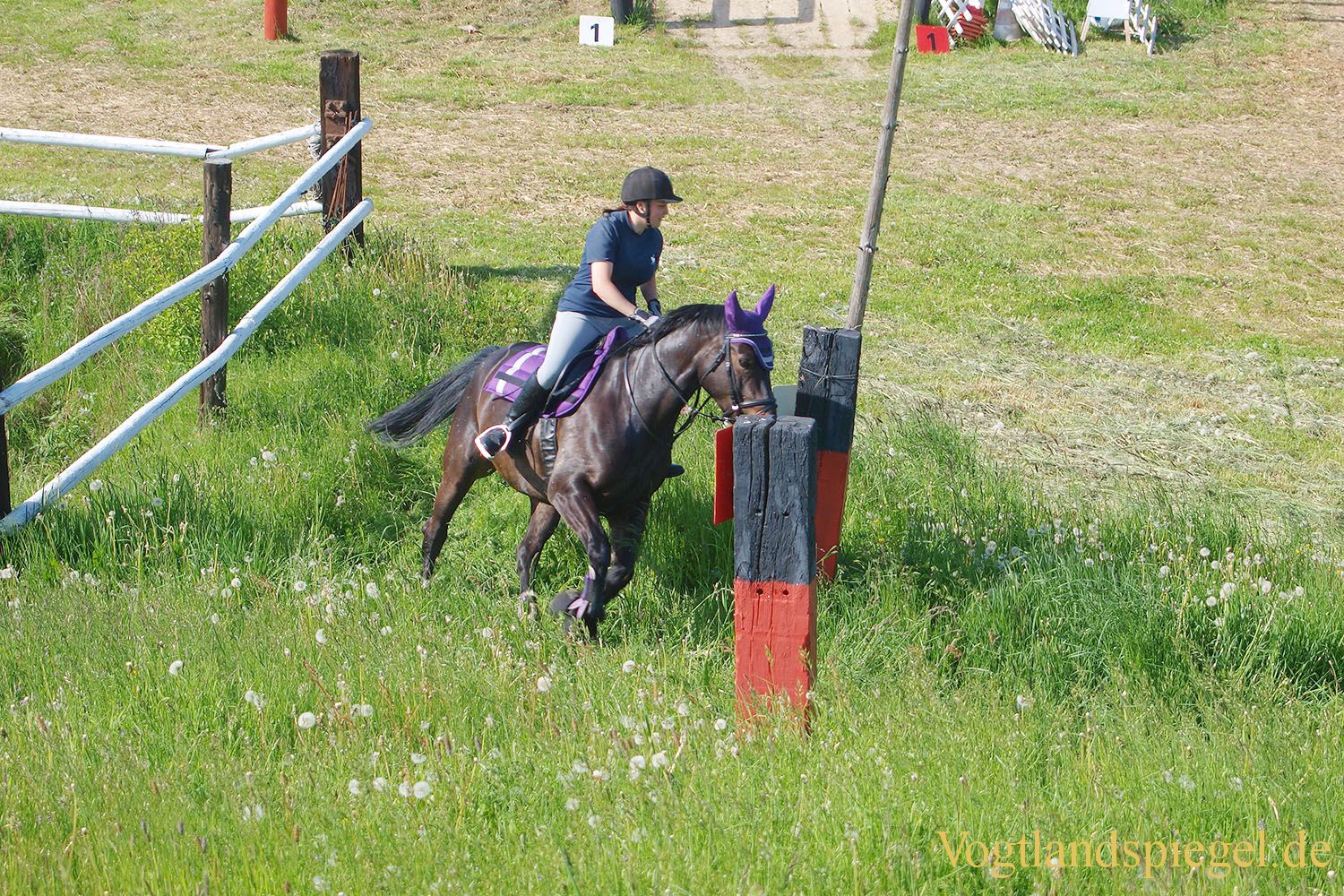 3.Tag der Vereine beim RFV Mohlsdorf e.V.