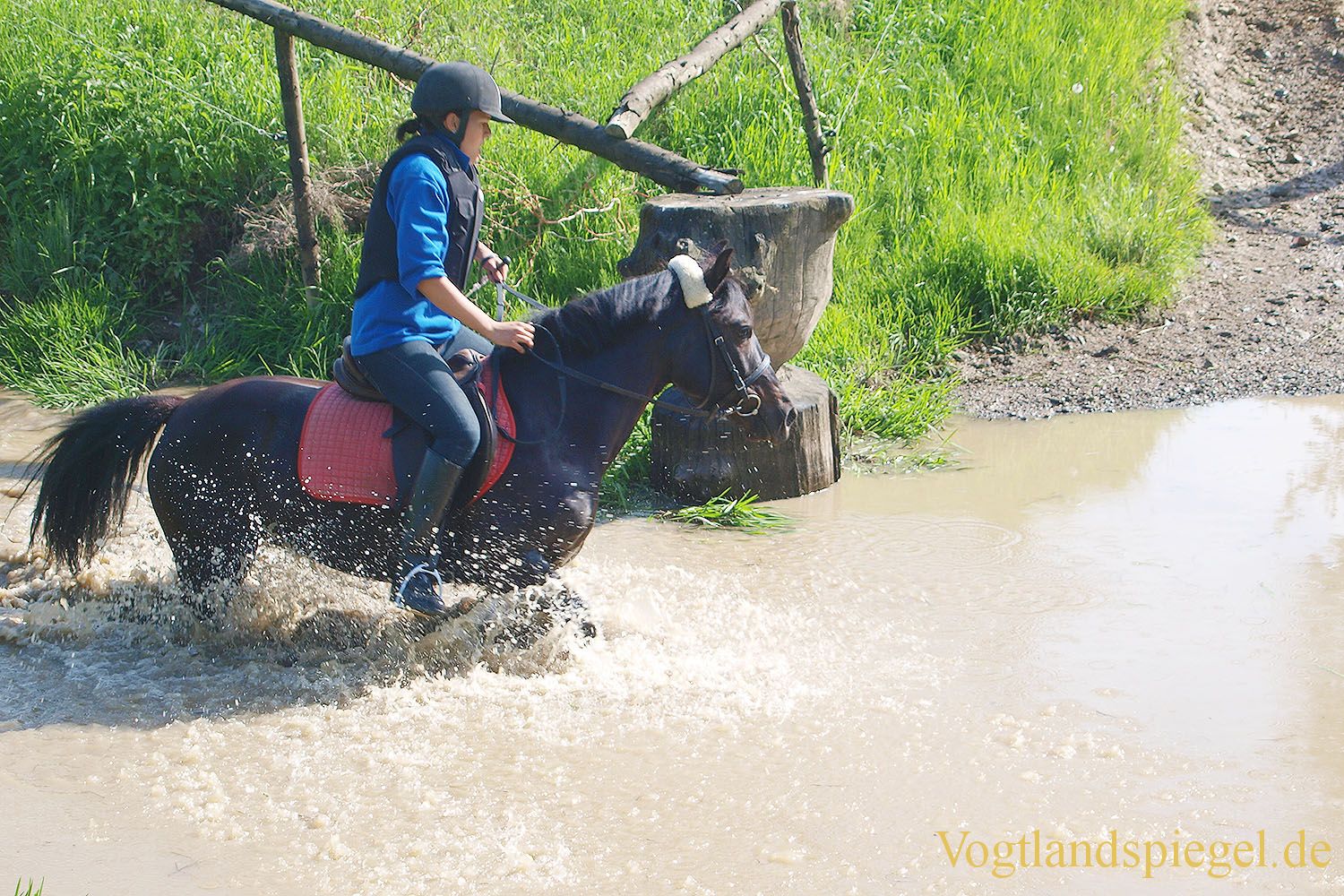 3.Tag der Vereine beim RFV Mohlsdorf e.V.