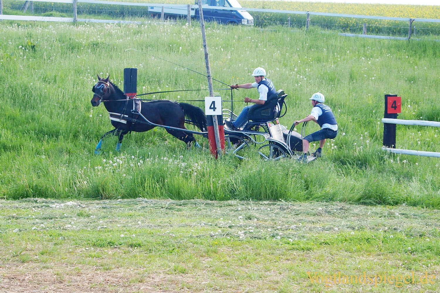 3.Tag der Vereine beim RFV Mohlsdorf e.V.