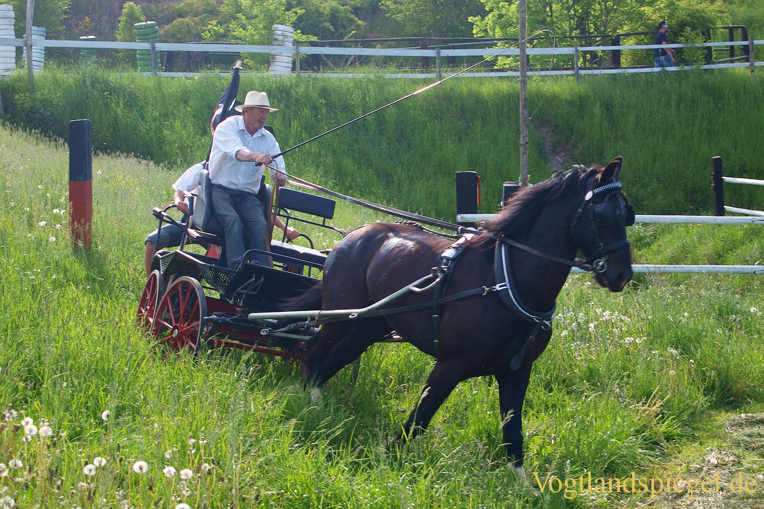 3.Tag der Vereine beim RFV Mohlsdorf e.V.