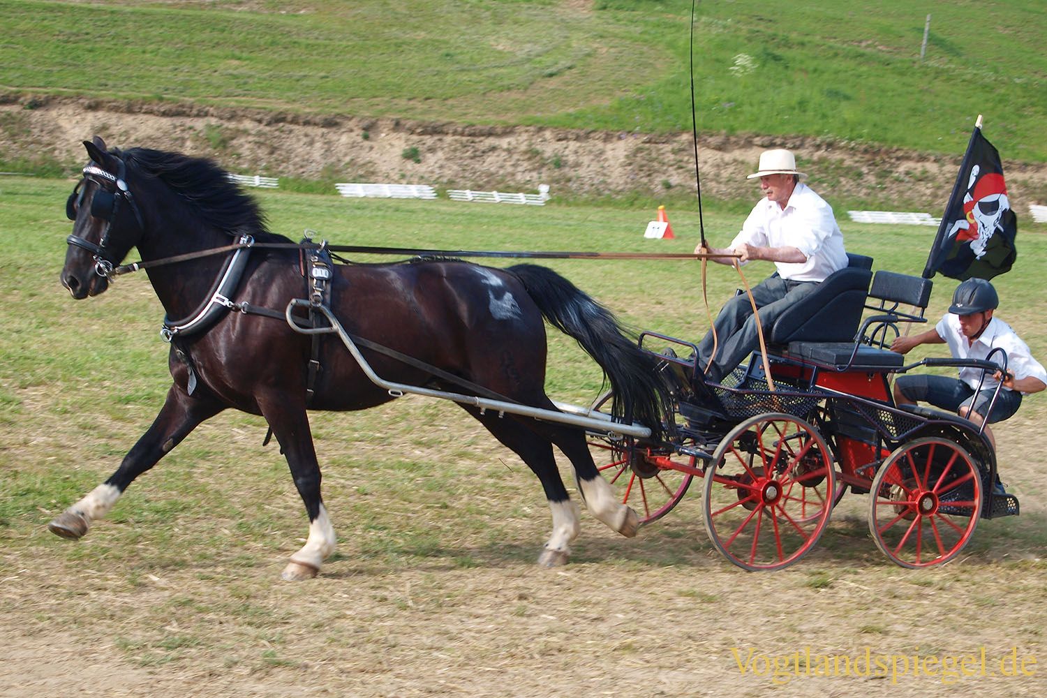 3.Tag der Vereine beim RFV Mohlsdorf e.V.