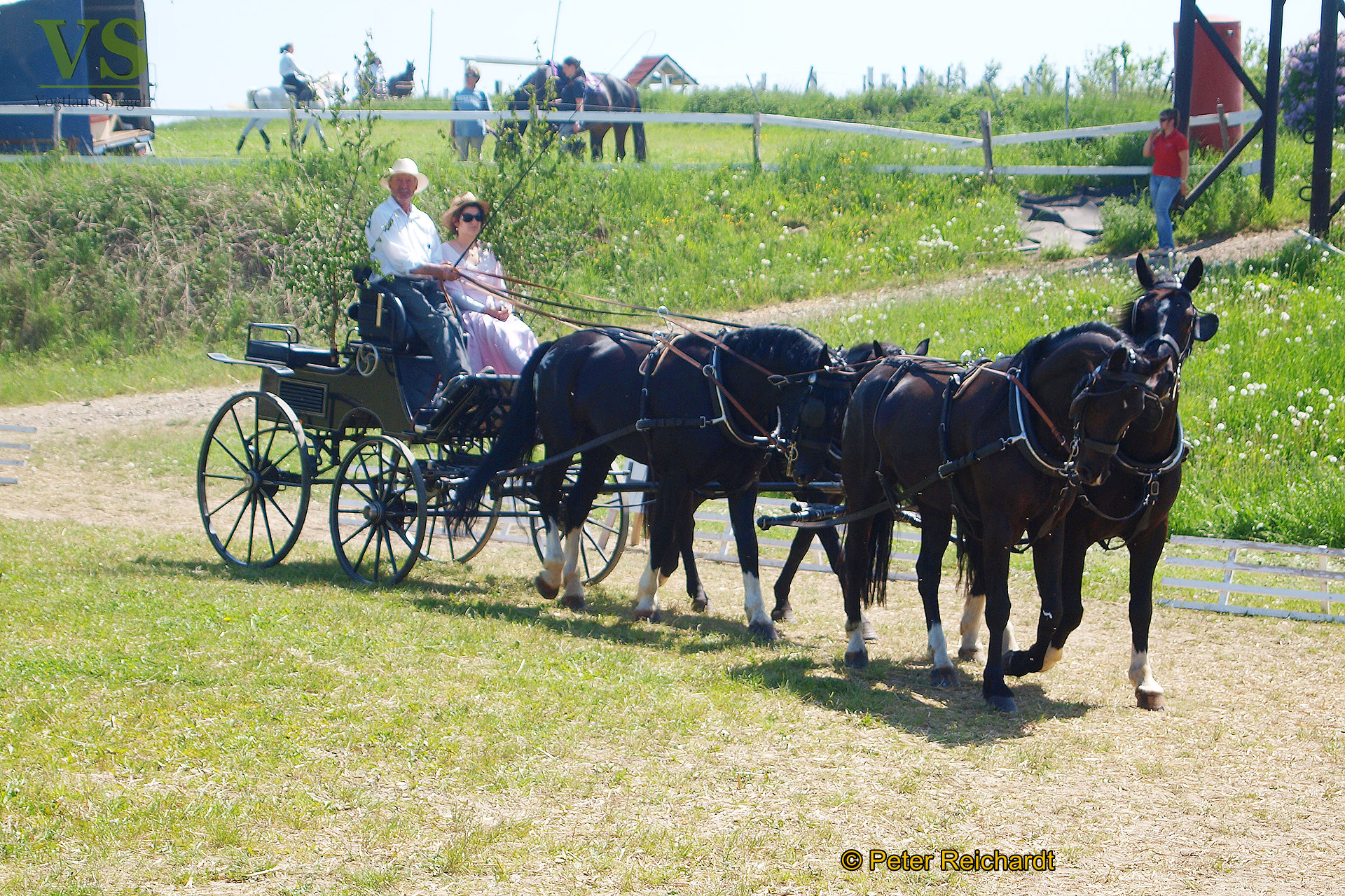 RFV Mohlsdorf e.V. hatte auf das Parcourgelände "Am Ziegengraben" geladen