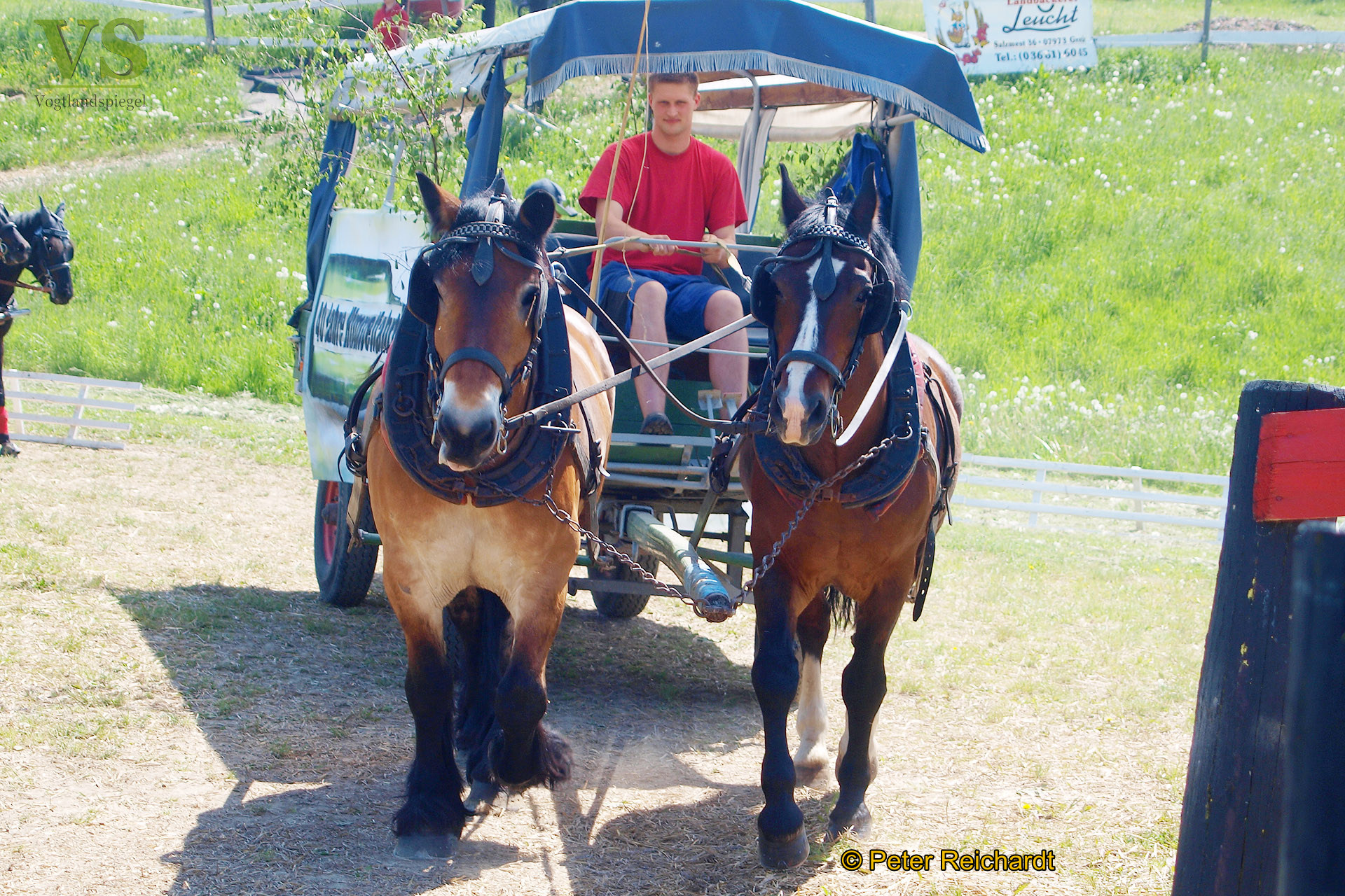 RFV Mohlsdorf e.V. hatte auf das Parcourgelände "Am Ziegengraben" geladen