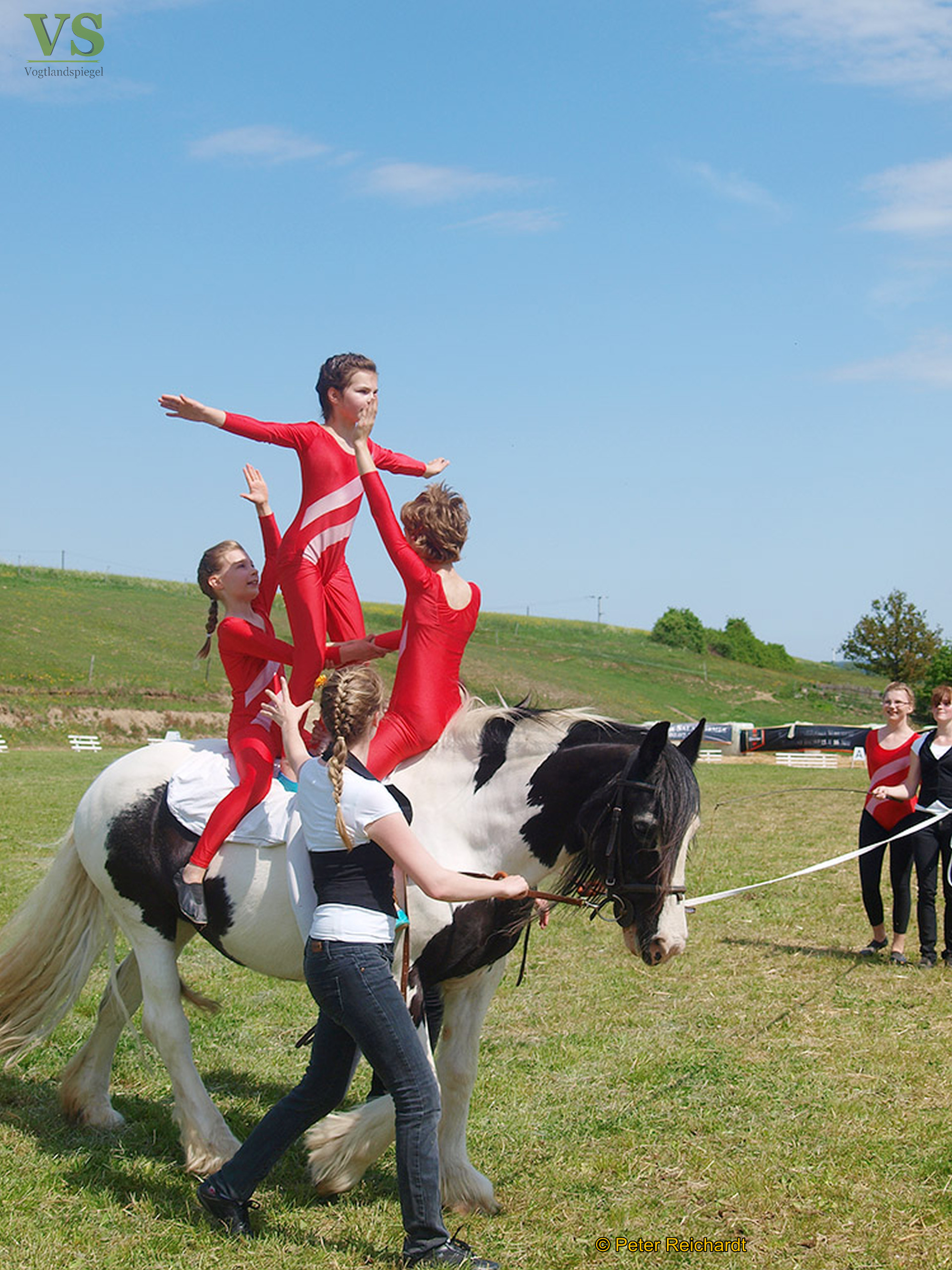 RFV Mohlsdorf e.V. hatte auf das Parcourgelände "Am Ziegengraben" geladen