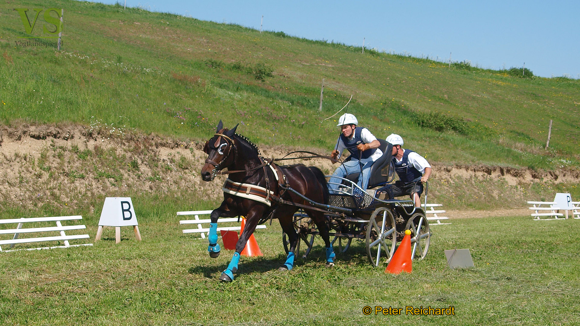 RFV Mohlsdorf e.V. hatte auf das Parcourgelände "Am Ziegengraben" geladen