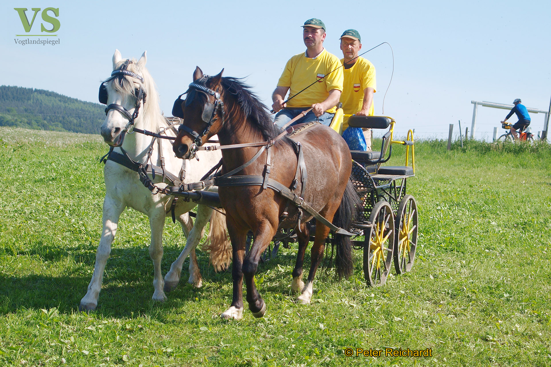 RFV Mohlsdorf e.V. hatte auf das Parcourgelände "Am Ziegengraben" geladen