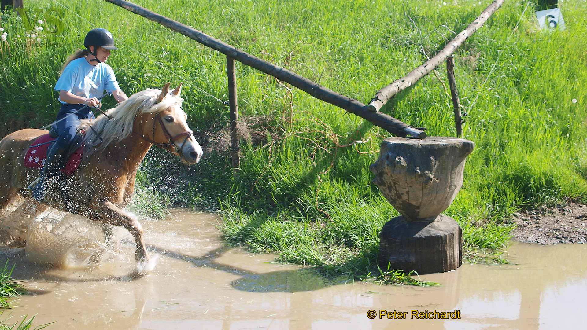 RFV Mohlsdorf e.V. hatte auf das Parcourgelände "Am Ziegengraben" geladen