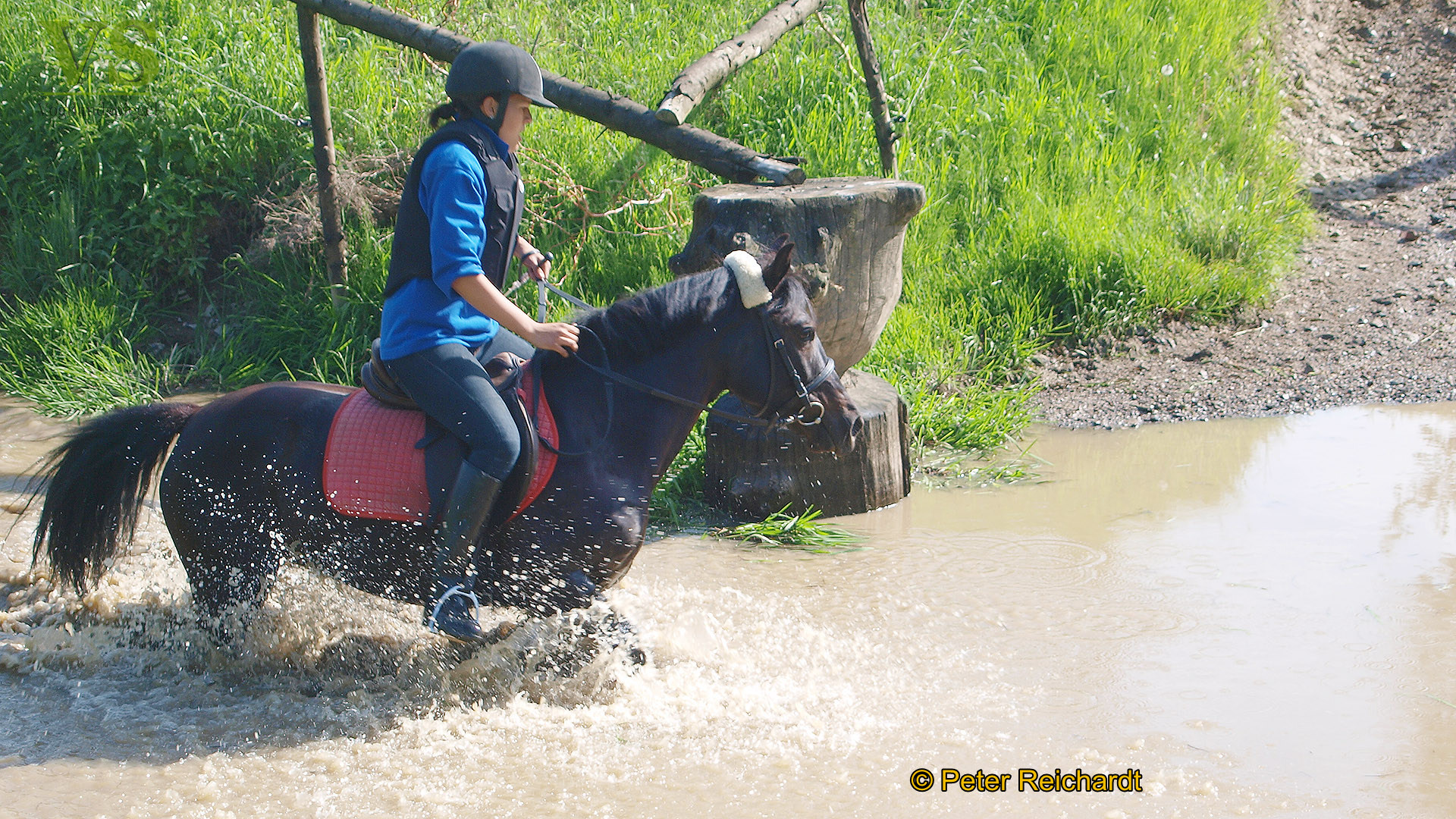 RFV Mohlsdorf e.V. hatte auf das Parcourgelände "Am Ziegengraben" geladen
