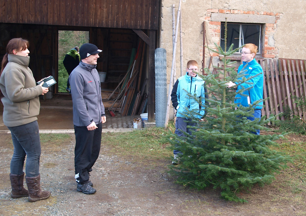 Revierförsterei Gommla verzeichnet viele Besucher beim Weihnachtsbaumverkauf
