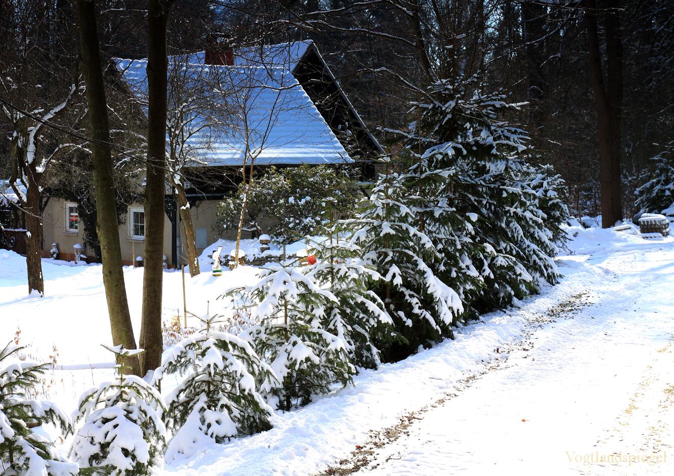 Naherholungszentrum Waldhaus im Winter