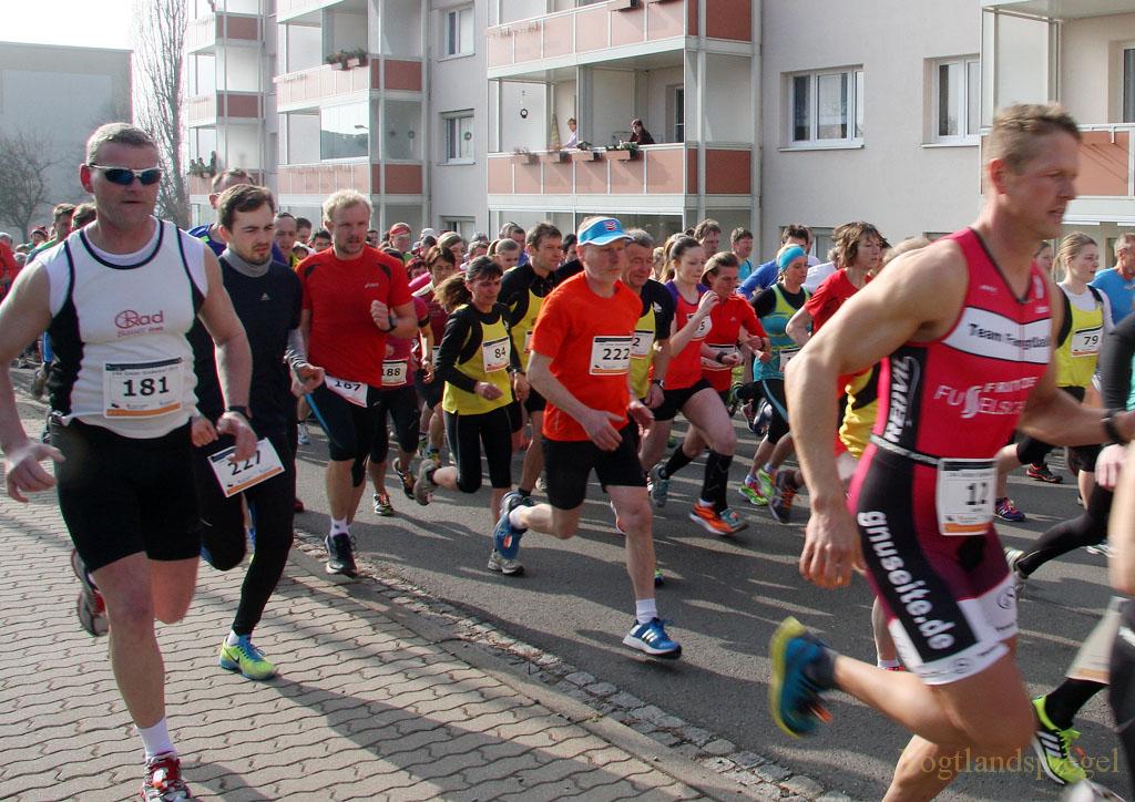 225 Läufer nahmen am 144. Greizer Straßenlauf teil