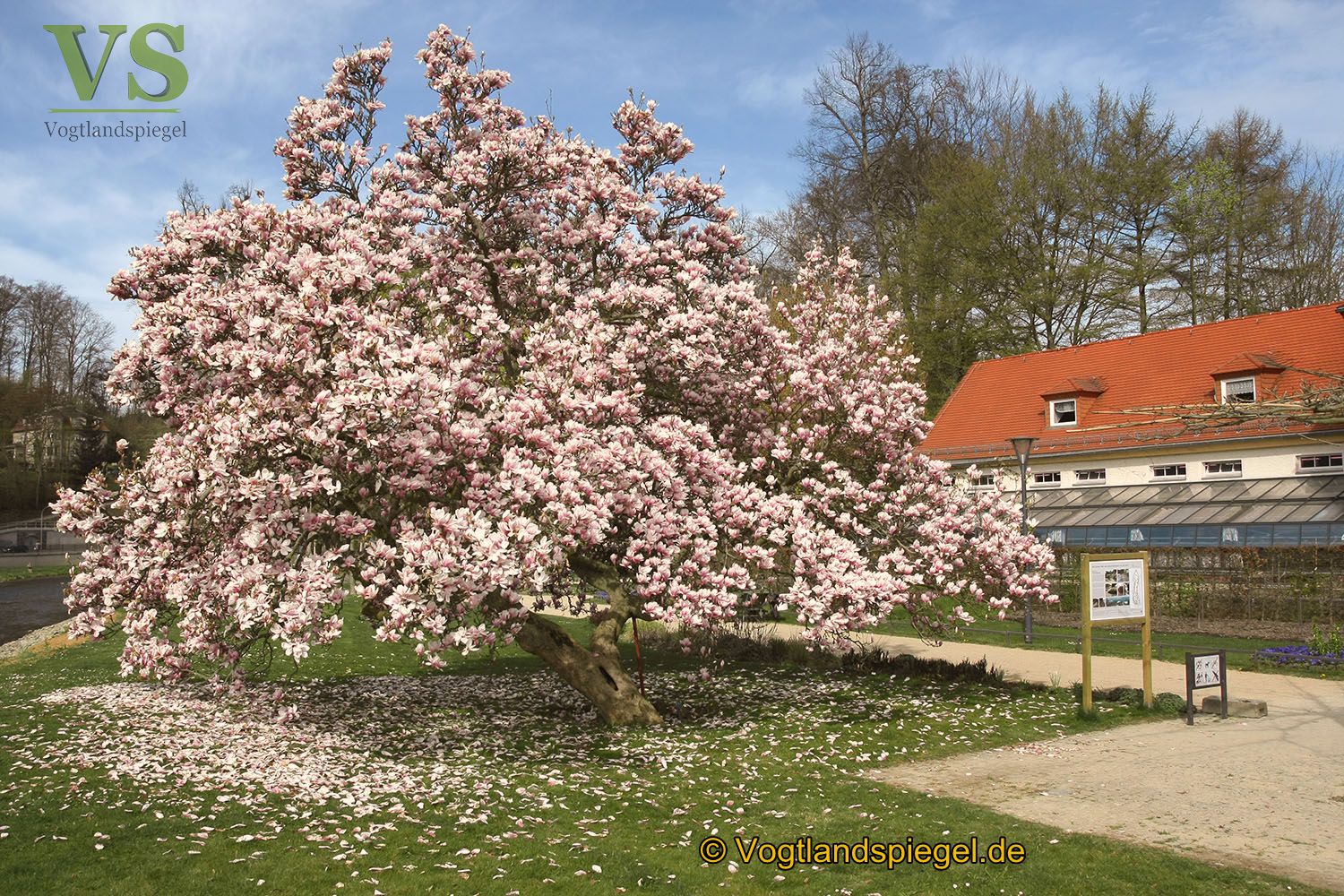 Im Fürstlich Greizer Park zeigt sich der Frühling