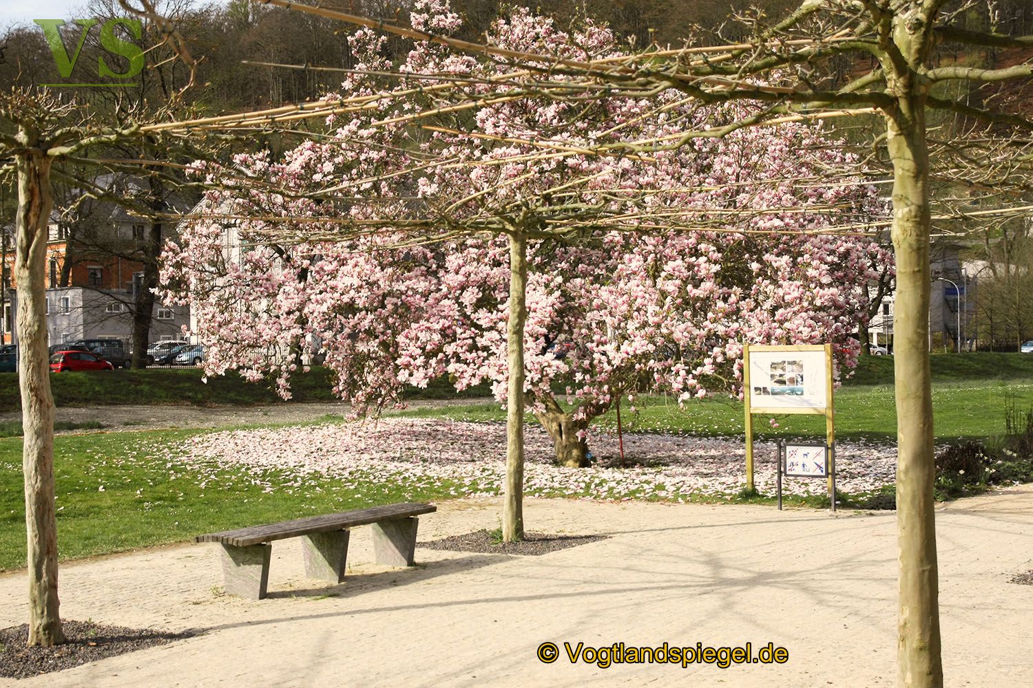Im Fürstlich Greizer Park zeigt sich der Frühling