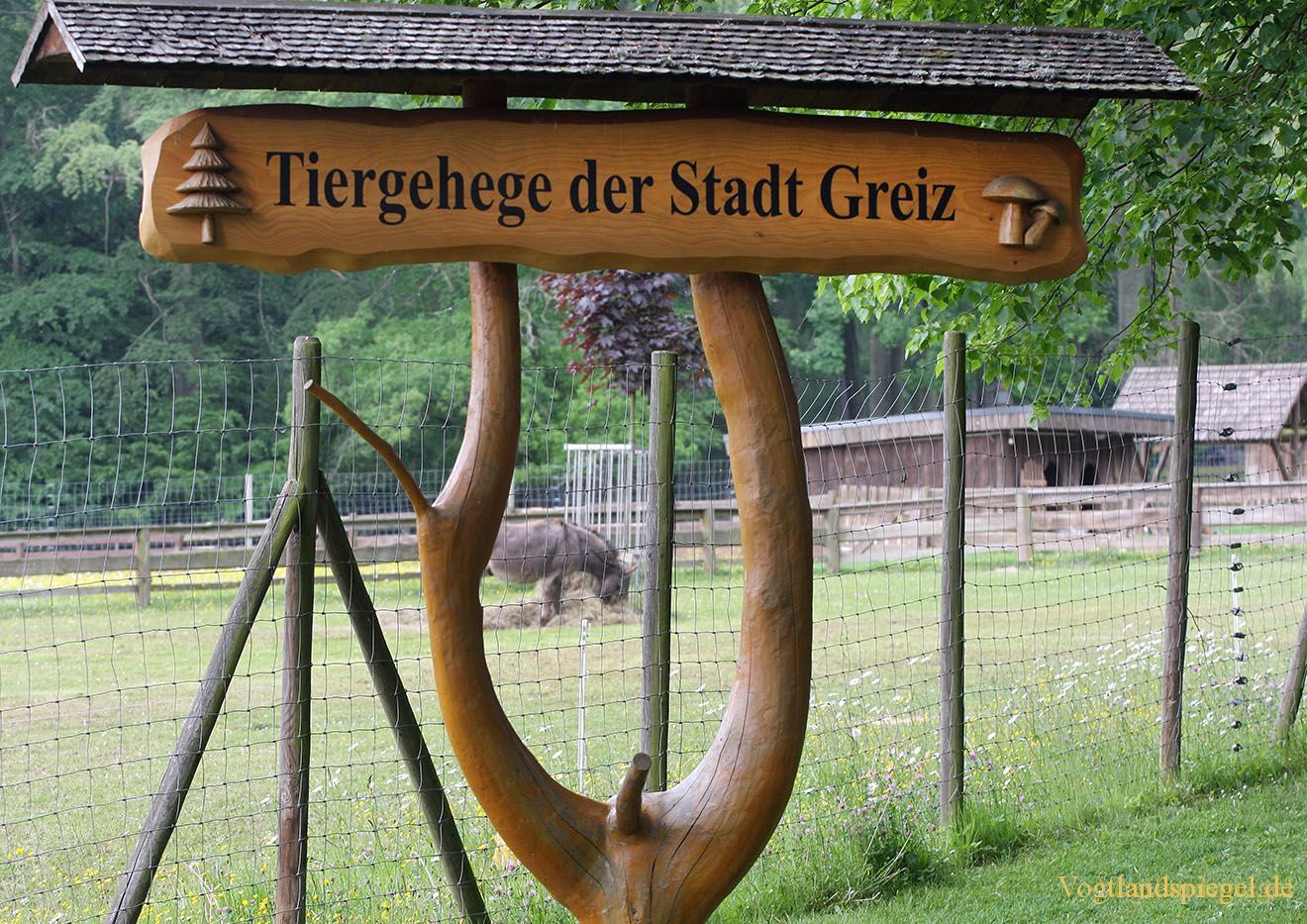 Tag des Waldes und der Jagd in Greiz-Waldhaus
