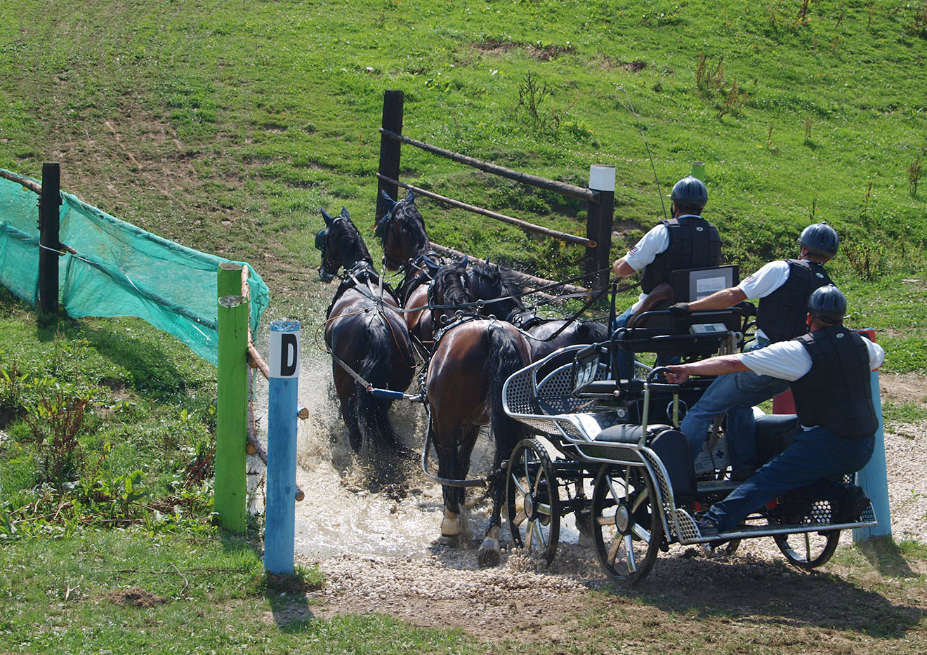 Thüringer Landesmeisterschaft 2014 im Vier- und Einspännerfahren