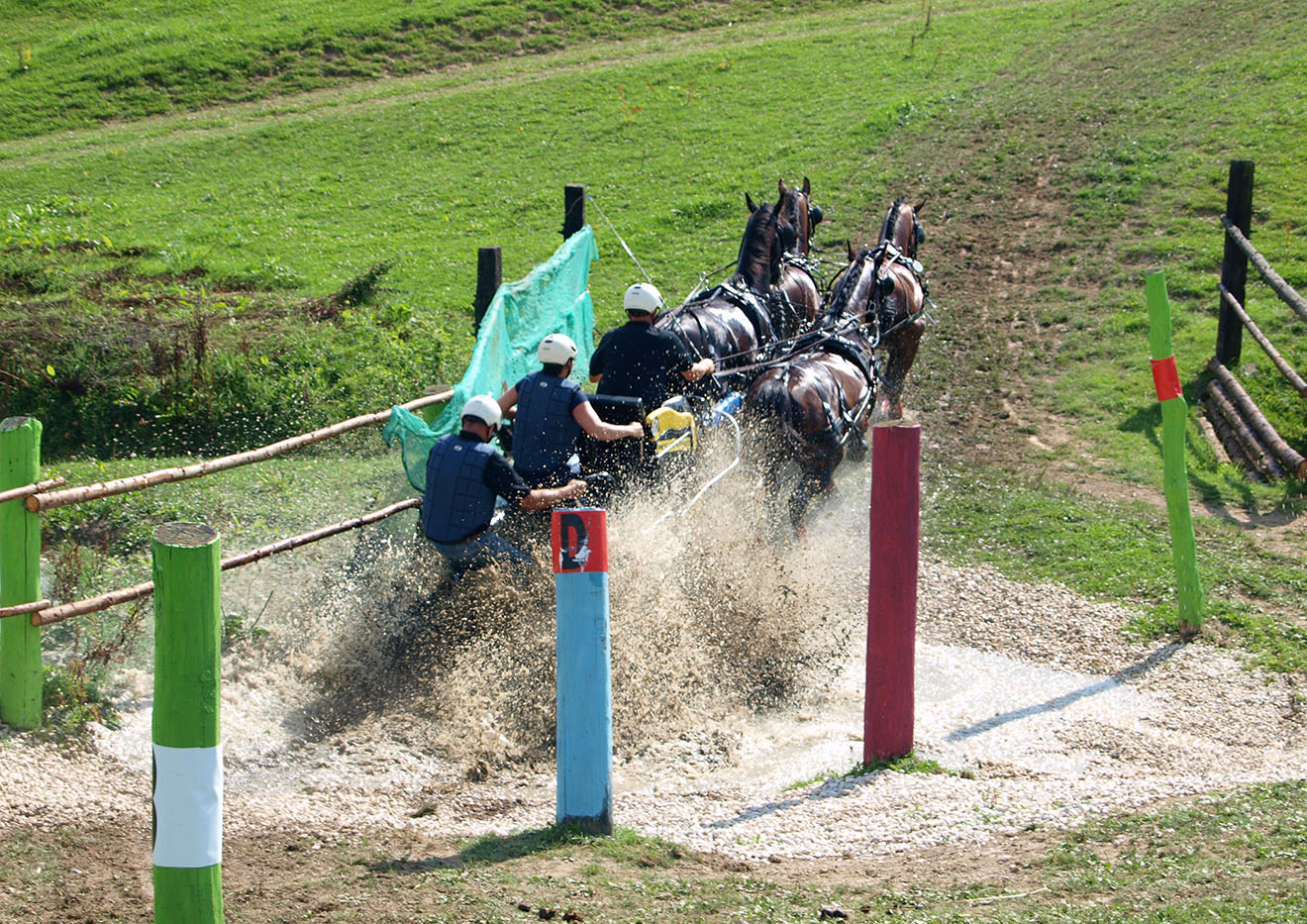 Thüringer Landesmeisterschaft 2014 im Vier- und Einspännerfahren