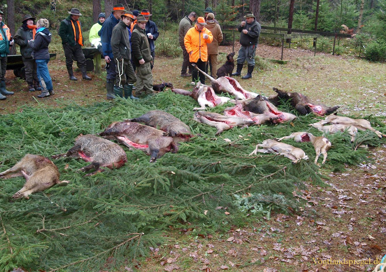 20. Ansitzdrückjagd der Jäger des Landesjagdbezirk Gommla