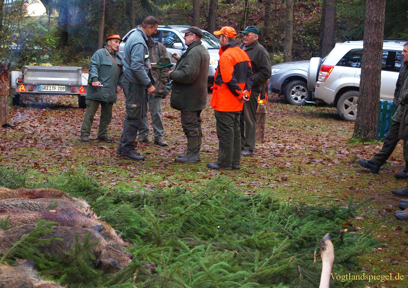 20. Ansitzdrückjagd der Jäger des Landesjagdbezirk Gommla