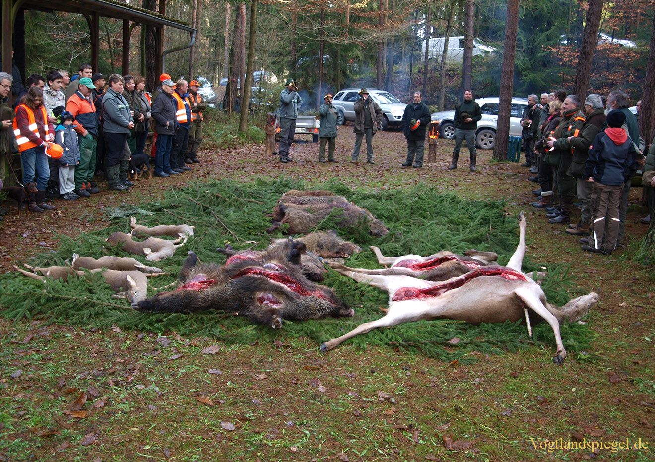 20. Ansitzdrückjagd der Jäger des Landesjagdbezirk Gommla