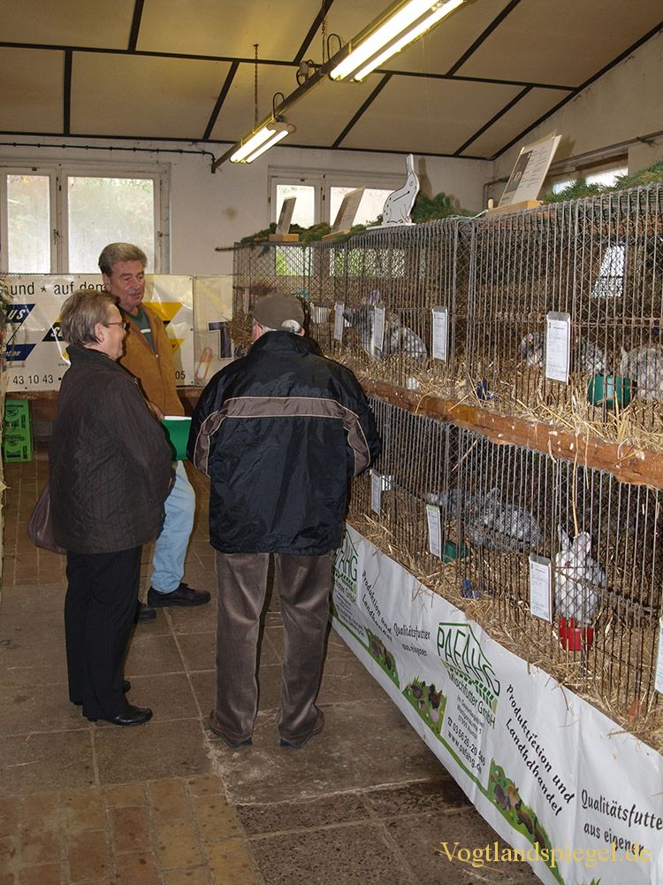 Gut besuchte Rassekaninchenausstellung in Mohlsdorf