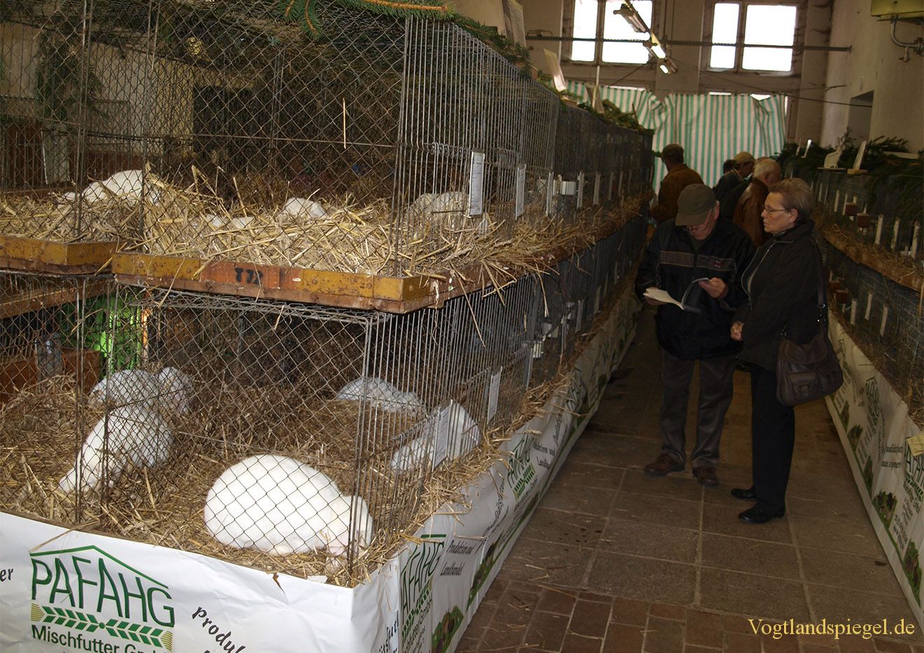 Gut besuchte Rassekaninchenausstellung in Mohlsdorf
